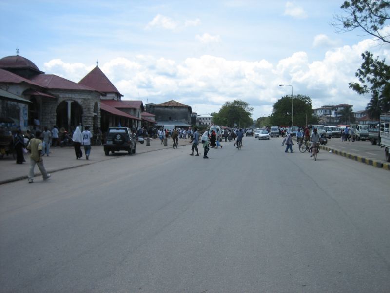 Zansi (54)